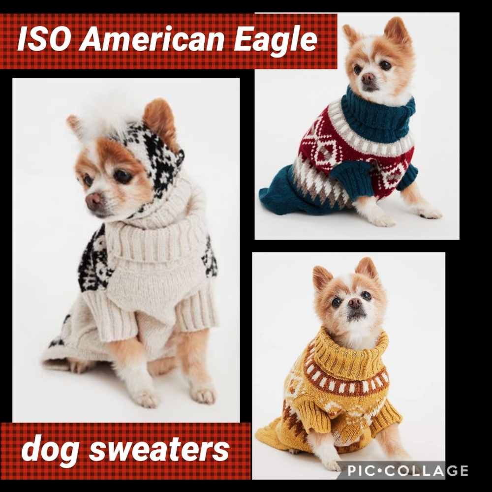 ISO Dog Sweaters - American "beagle" Outfitters